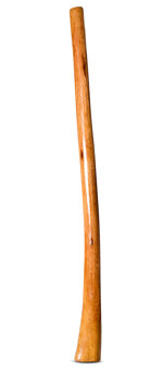 Gloss Finish Flared Didgeridoo (TW1065)